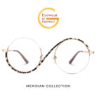 Meridian_Collection_Tortoise_1
