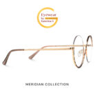 Meridian_Collection_Tortoise_3